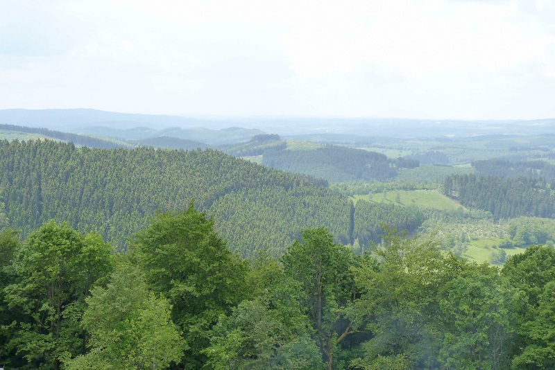 Zeitpaten Wanderausflug Ginsburg